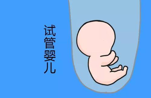 专业供卵代怀服务